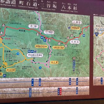 昔町石道を歩いたとき、ここから丹生都比売神社に降りて、また二つ鳥居に登り返した。元気だったんだ。