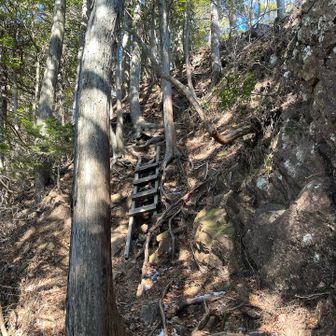 やっぱり山頂前も急坂💦