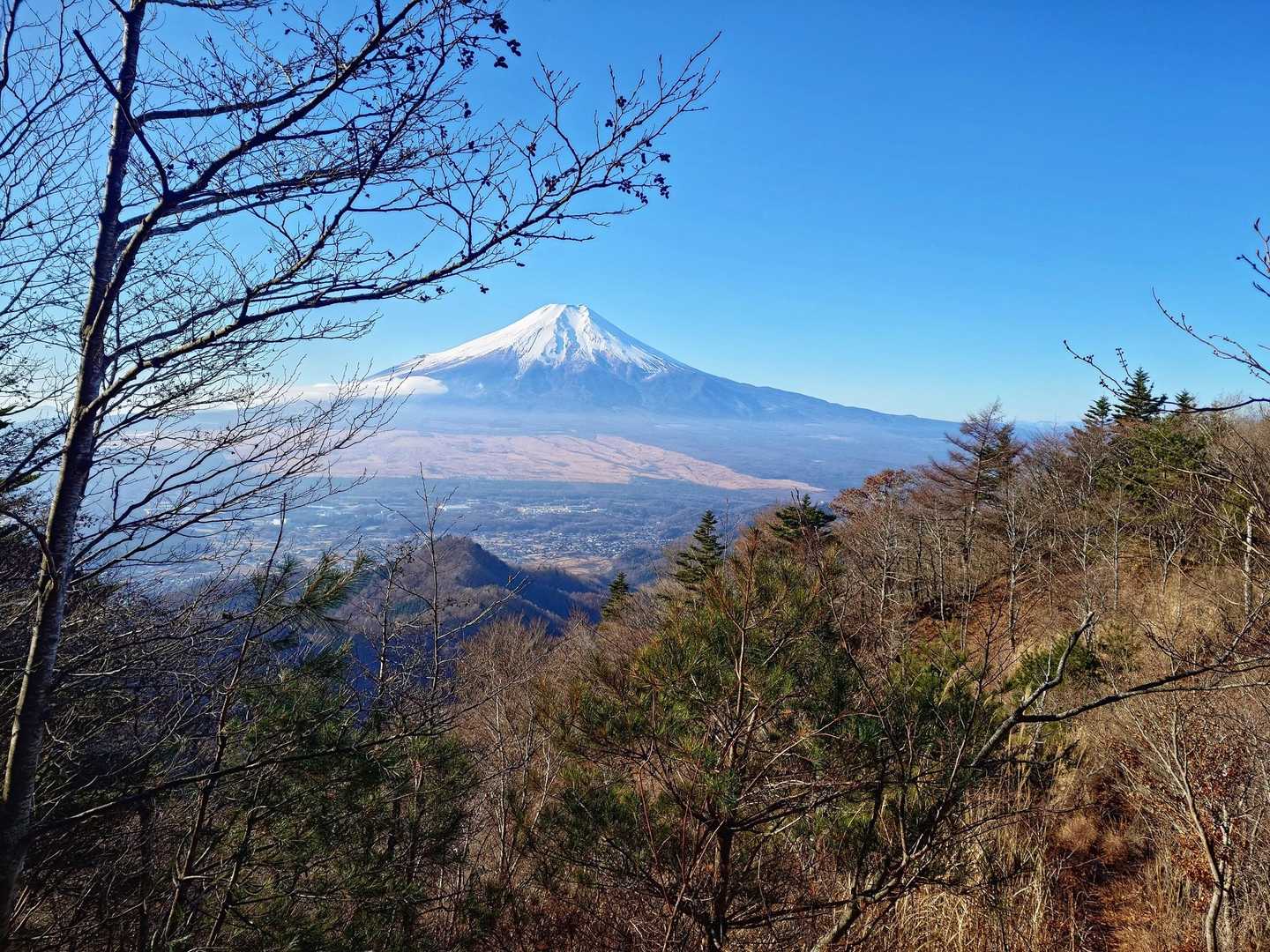 来て良かった😊