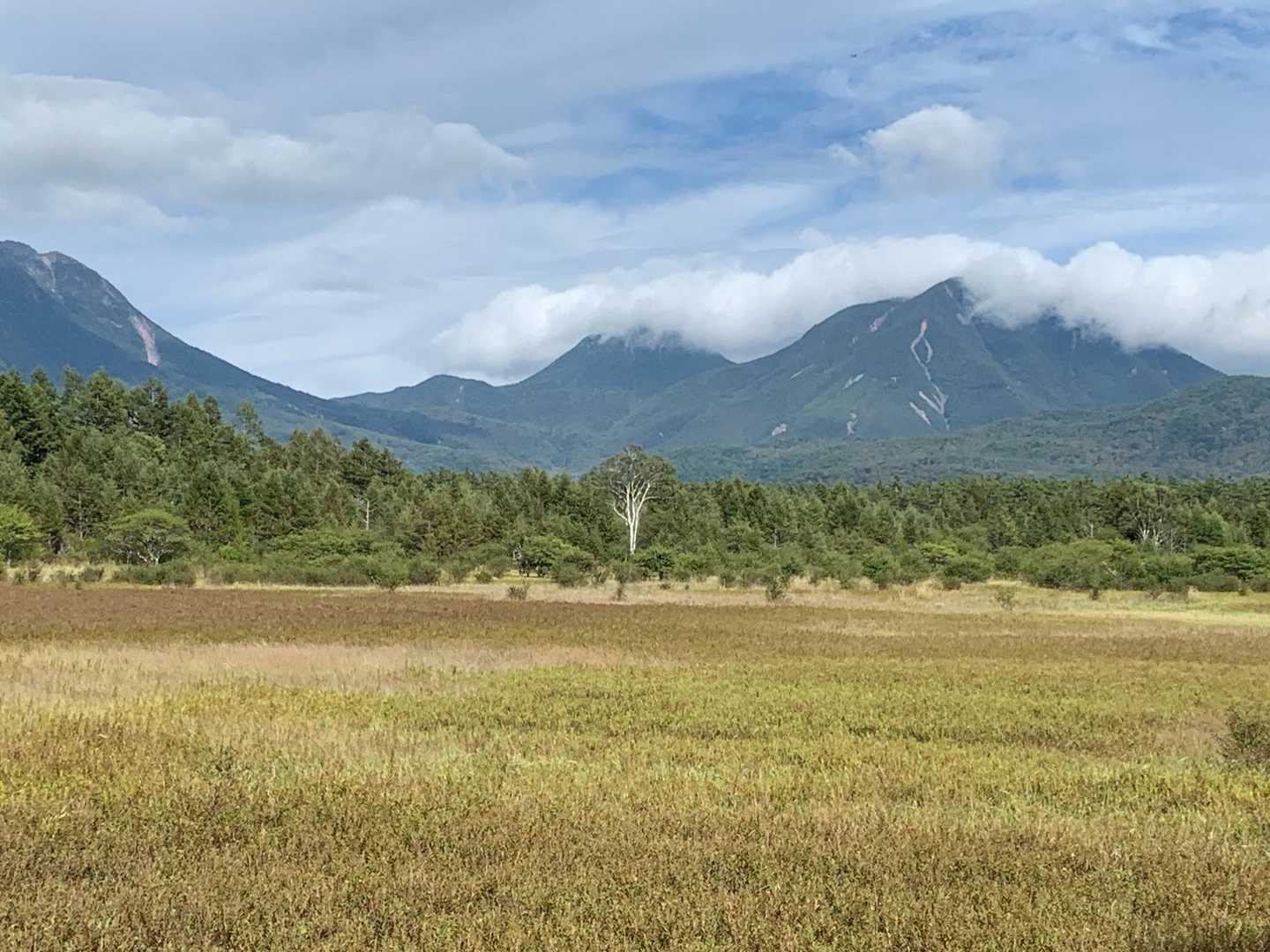 高山 周回コースの写真