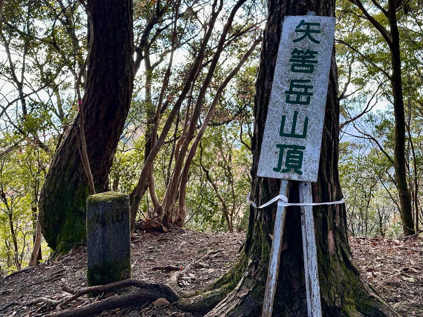 矢筈岳🥳702m登頂しました🙌