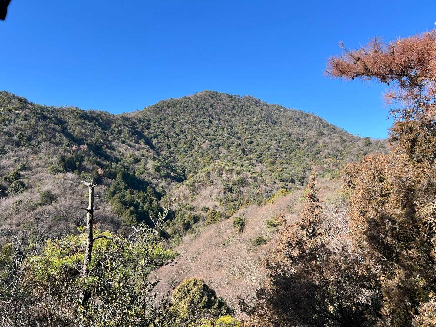 ↗️経小屋山山頂がいよいよ間近に🤩