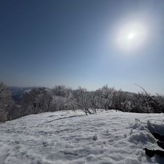 いい天気☀️でーす！