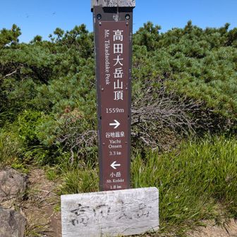 写真撮り忘れに気付き…
東峰⇔山頂　行ったり来たり