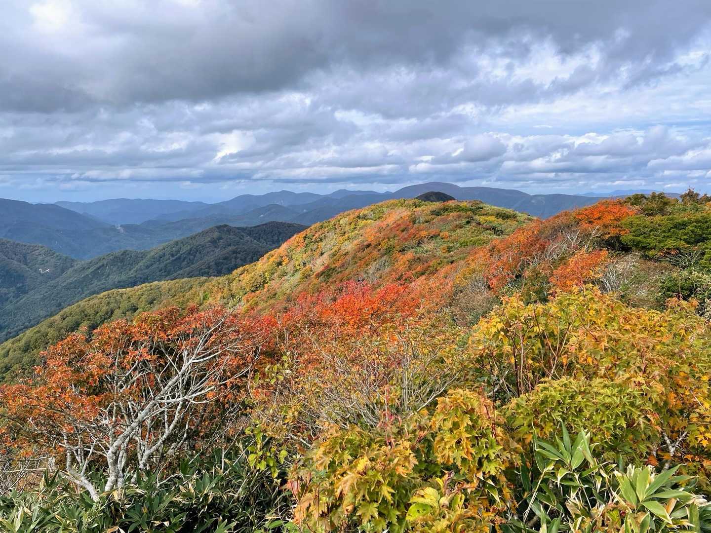 さっきまで歩いてきた場所ですが、良い紅葉🍁が楽しめます🤗