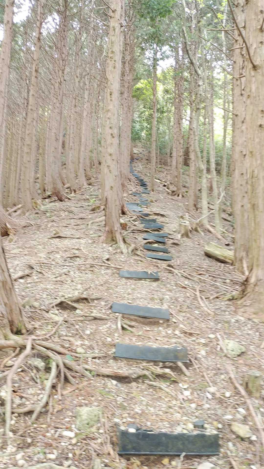 今日は久しぶりにたくさん歩きます✊