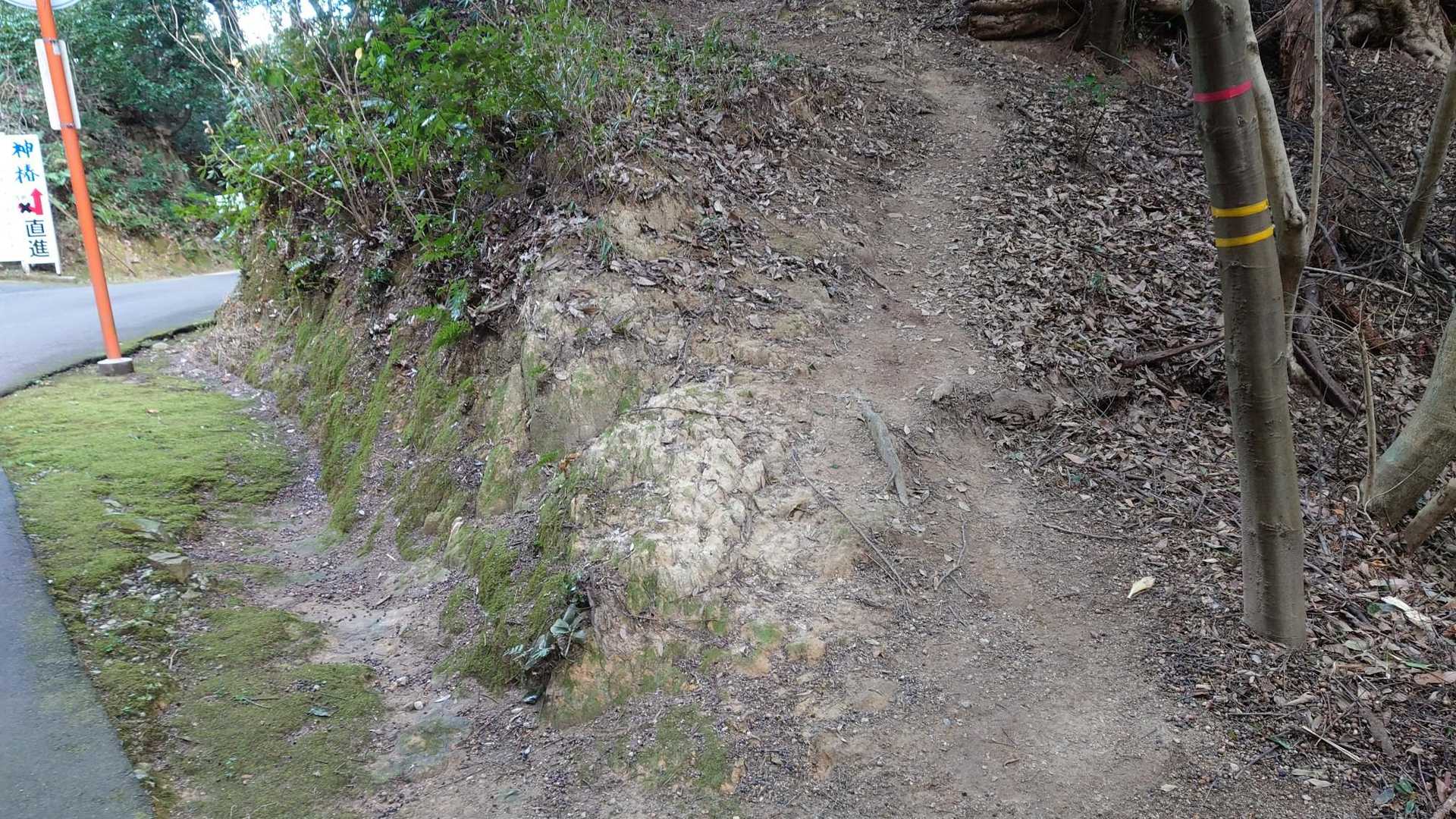 ここから未踏の八景山へ🚶💨