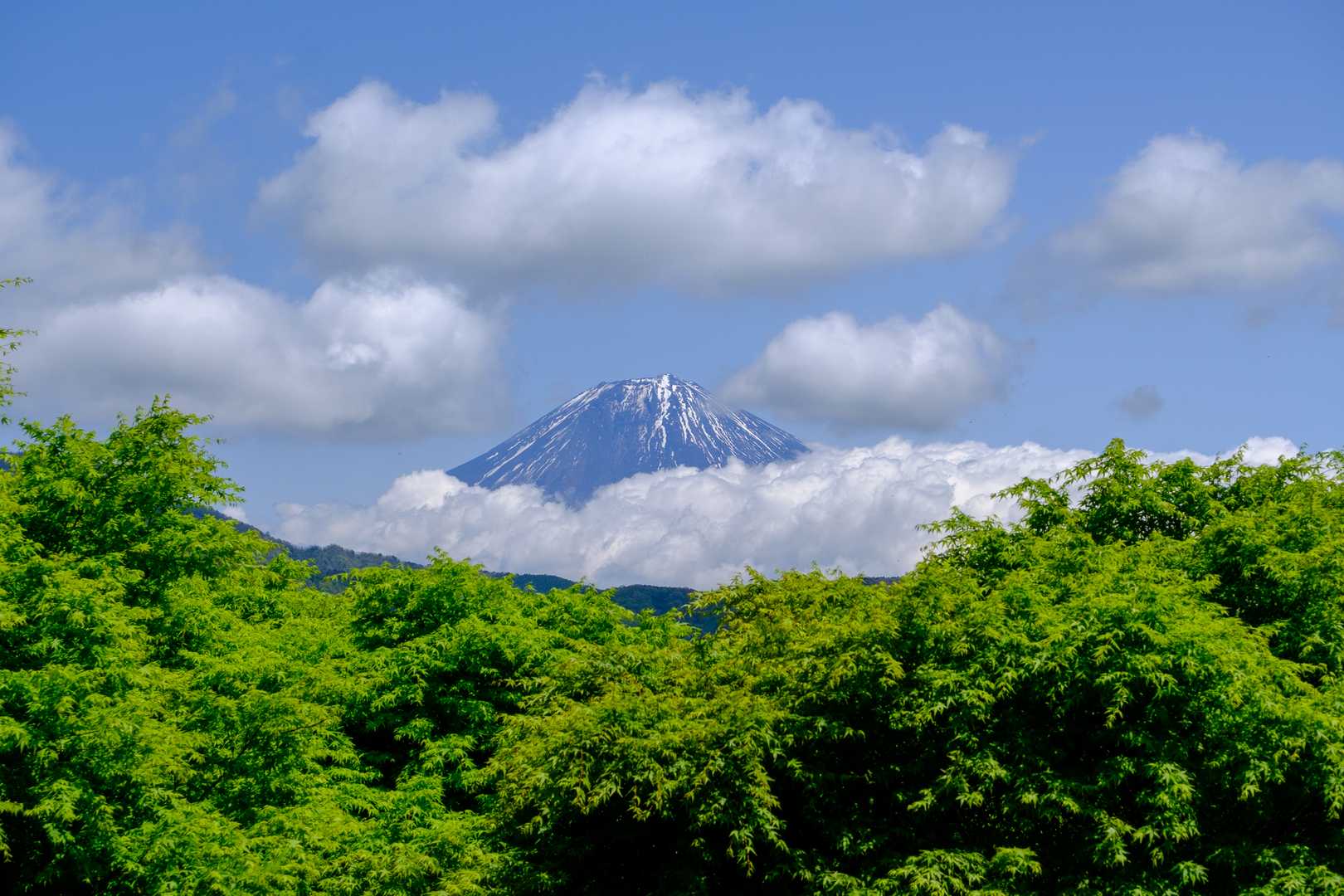 佐野峠でひょっこり富士山🗻