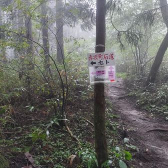 左のセトへ