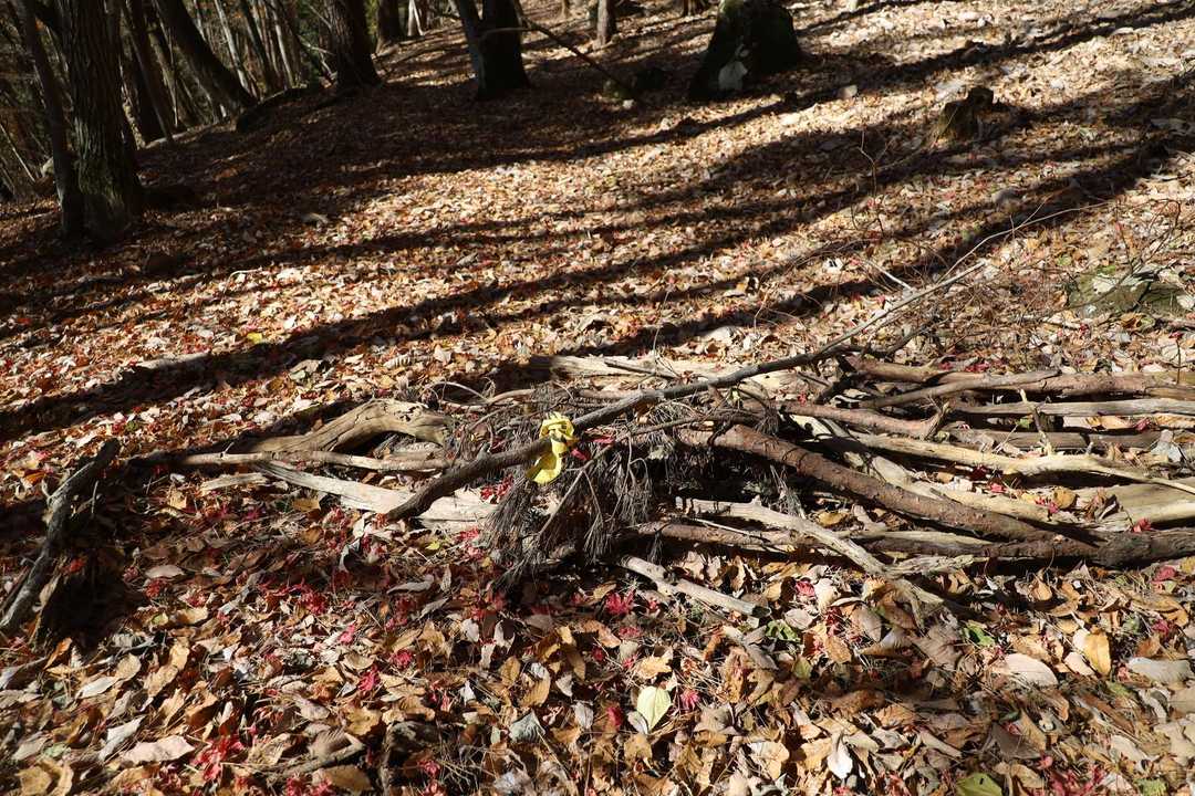 通行止め
折り返しポイント