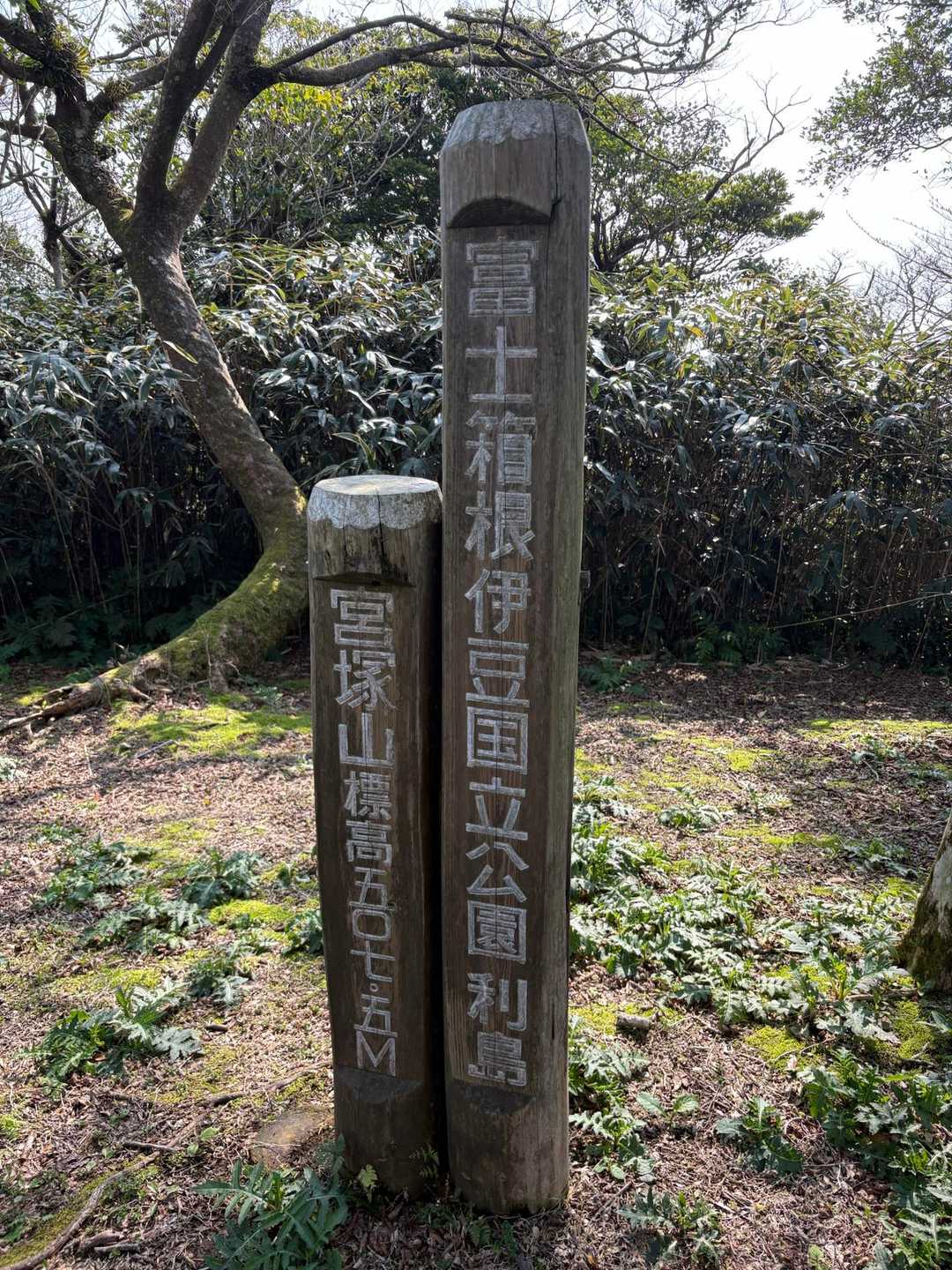 宮塚山 周回コースの写真