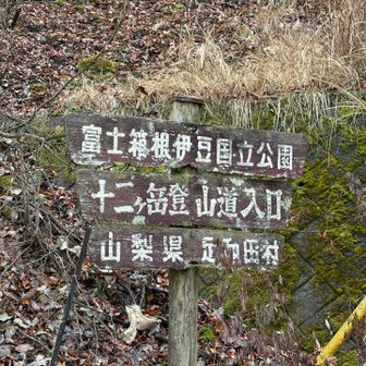 登山者駐車場から少し歩いて登山口