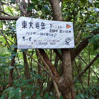 東大岩岳に向かいます