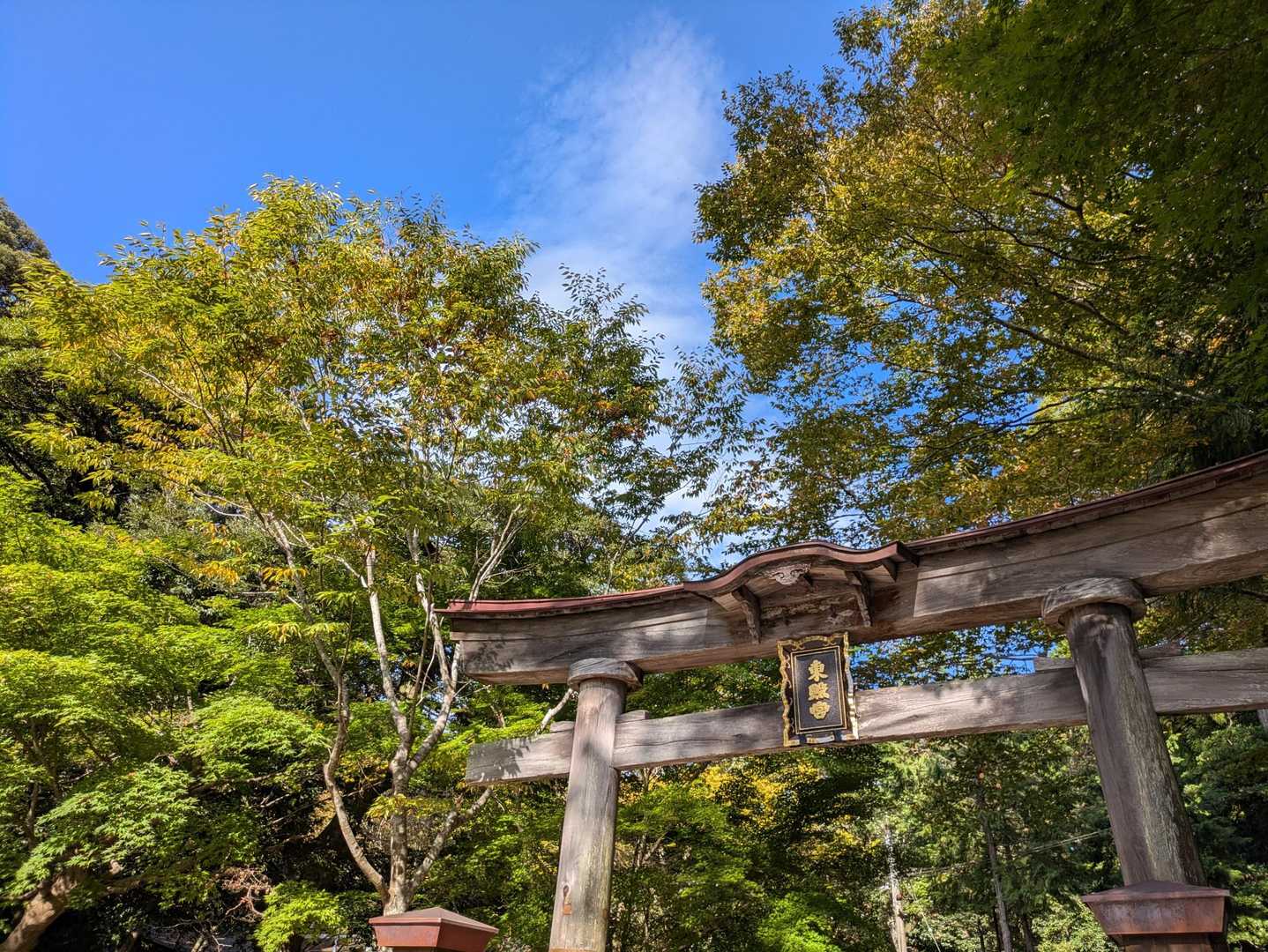 午後からもいい天気☀