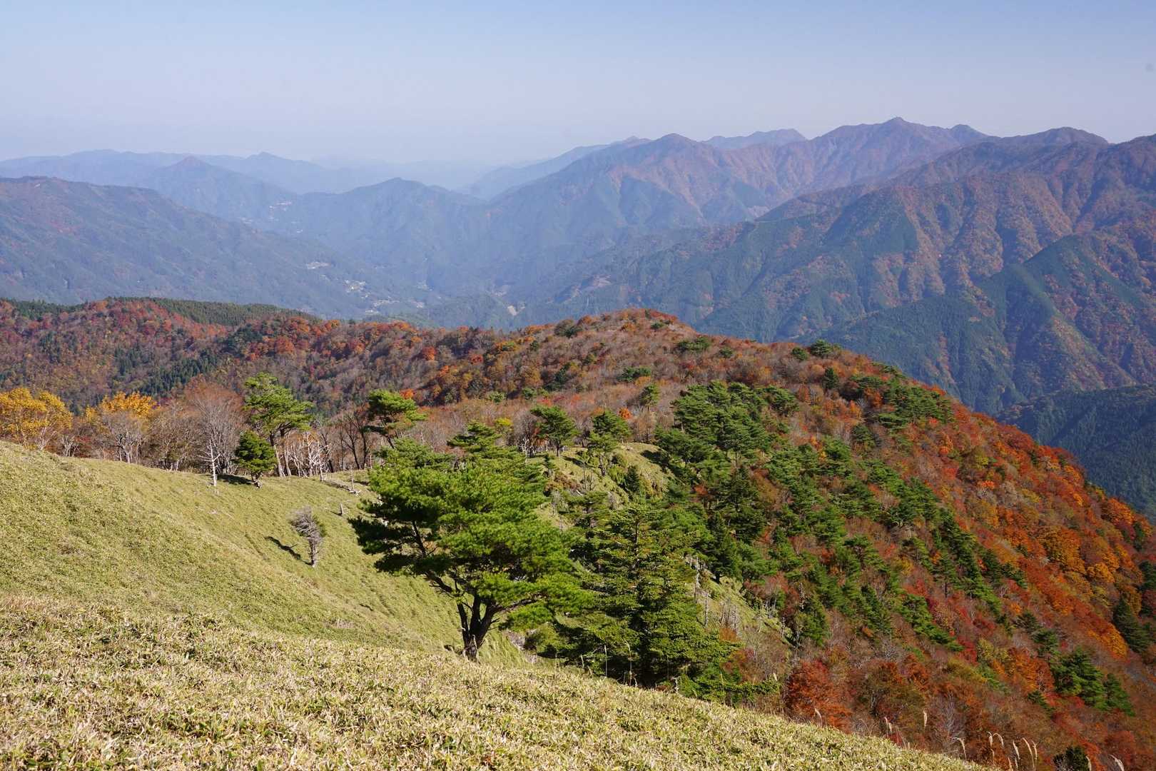 赤帽子山 往復コースの写真