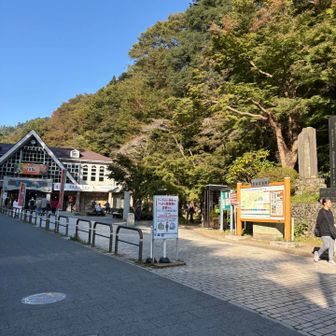 まだ人は少ないです