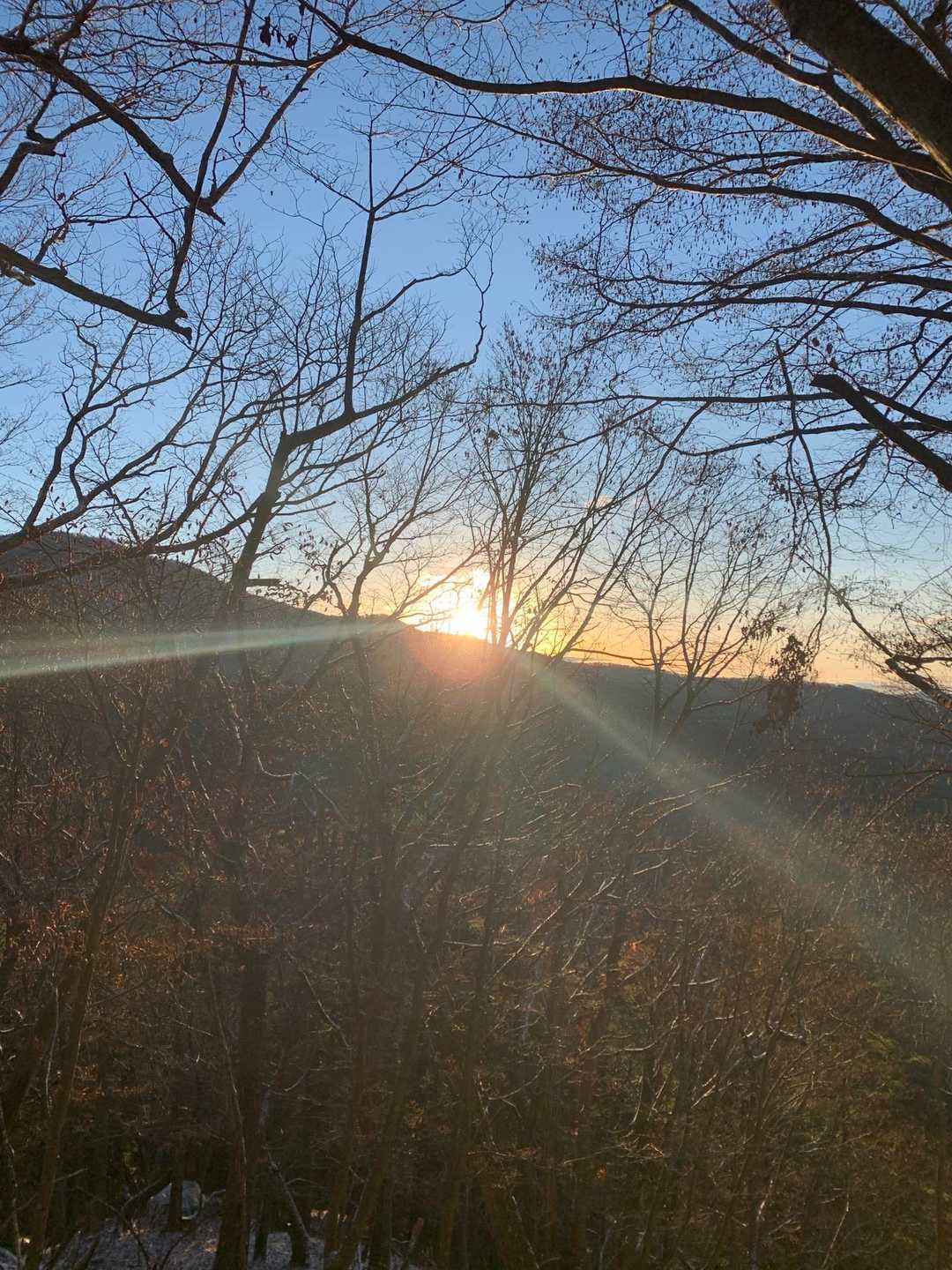 旧御坂峠-黒岳 周回コースの写真