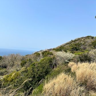 これから向かう先の山⛰️