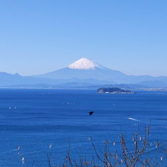 富士山のアップ。私のスマホでは、綺麗に撮れるのは２倍が限界🤣