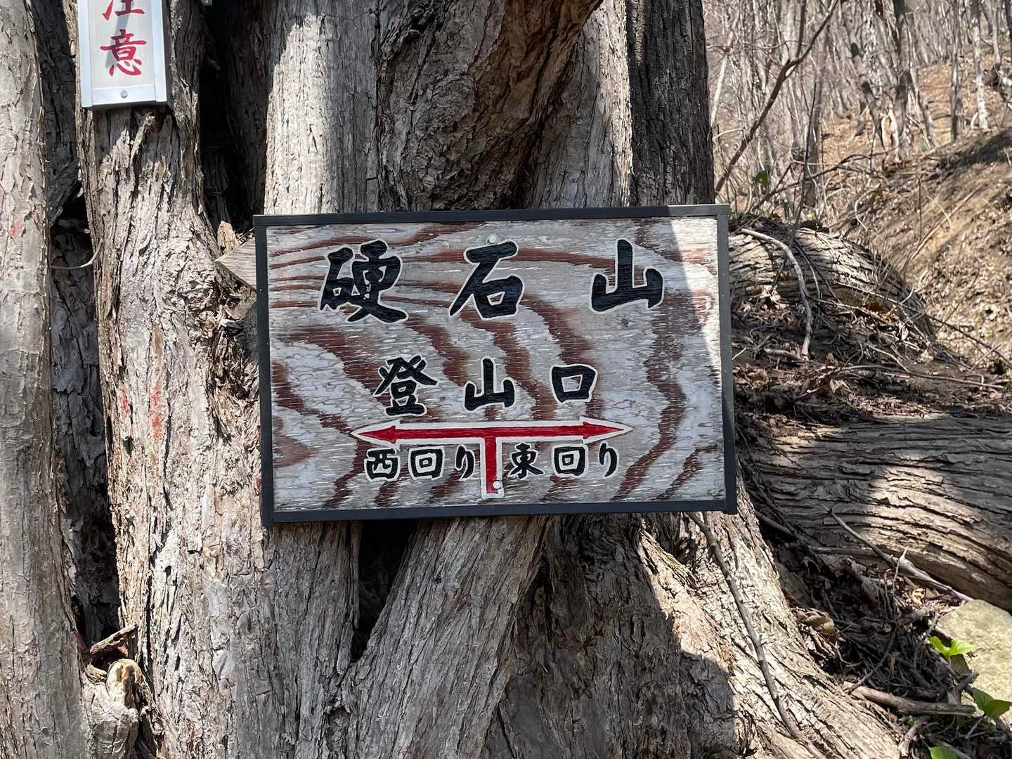 硬石山 周回コースの写真
