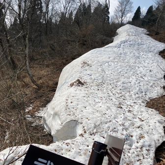 この雪庇がなかなか難儀します