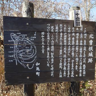 和気富士は城跡なのか