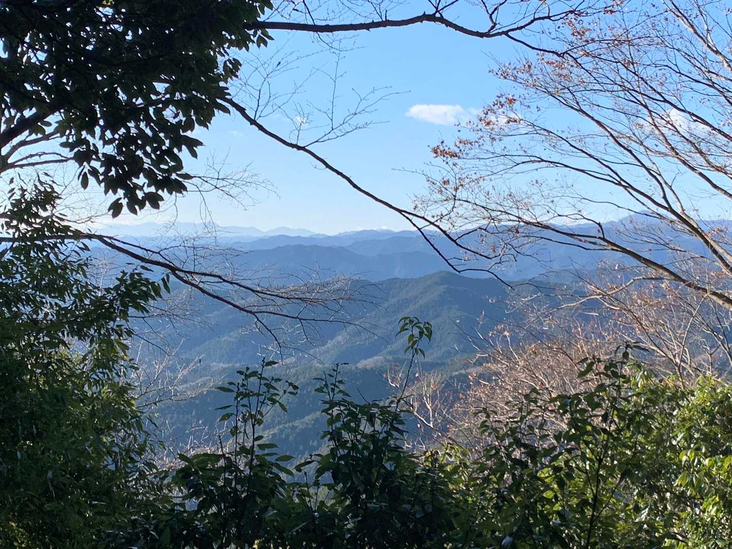 総じてこのコースは林間から奥武蔵の山塊が垣間見えました。冬ならではですね。