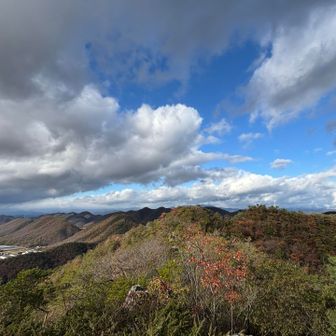 青空も出てきて良き