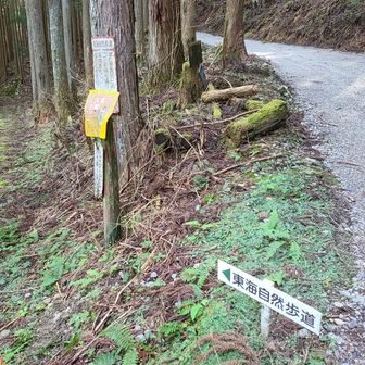 雰囲気で誘われたが道違い。
東海自然歩道だった(笑)