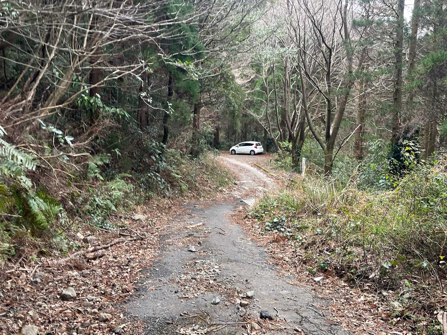ゴール🏁
小太郎さん、ありがとう💕