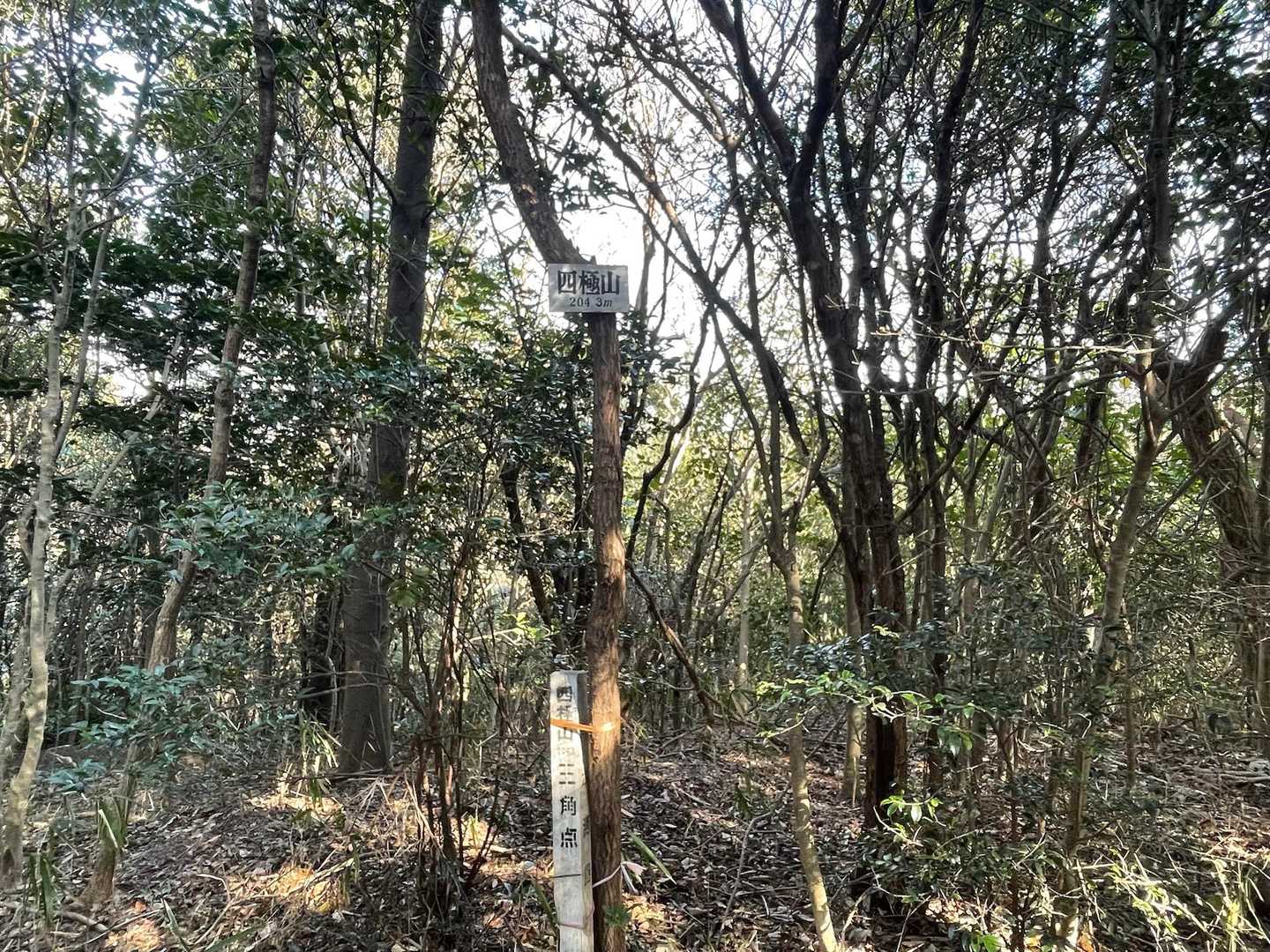 大入穴弘法-四極山 周回コースの写真