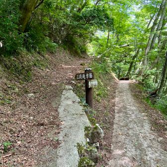 コースを引き返して三段滝へ