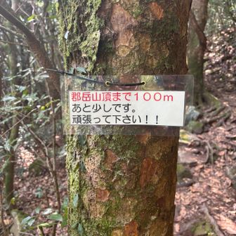 頑張ってます！