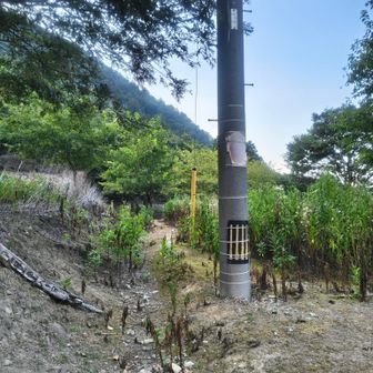 ここから登山口に戻ります