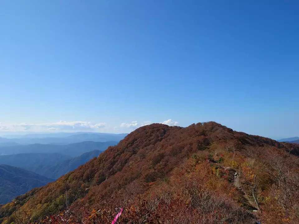 横山岳の写真
