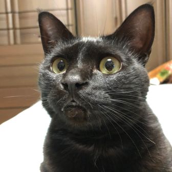 えっちゃん