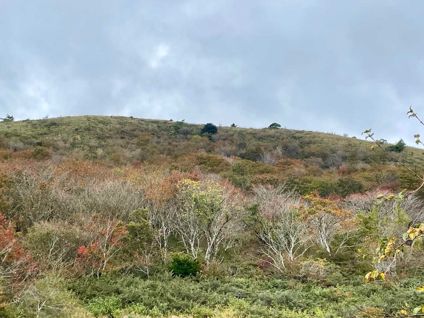 秋🍂