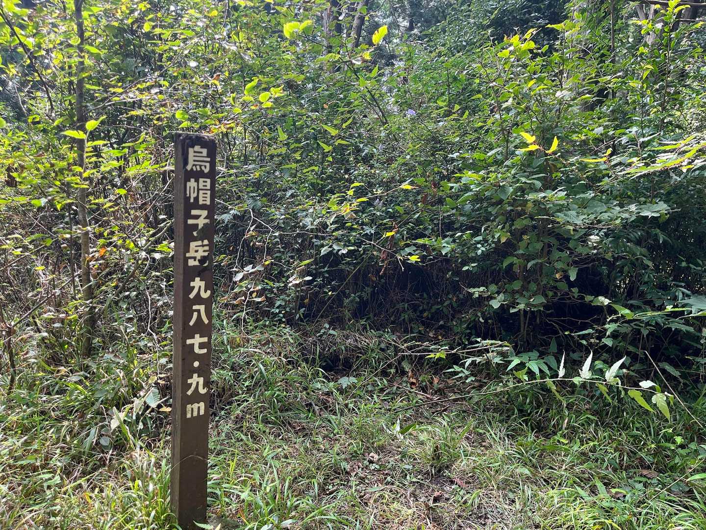 山頂❗