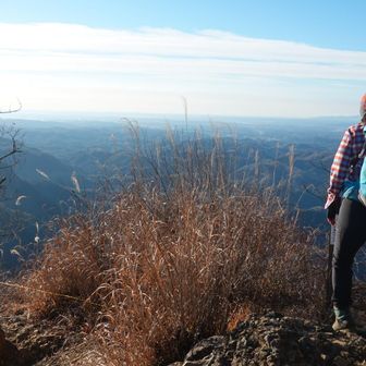 頂上からの眺め