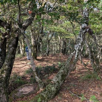下山スタート　風が気持ちよく吹いてきてます