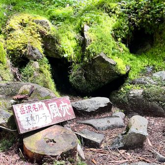 天然クーラーだって
確かにこの辺り涼しくて気持ちよかった！