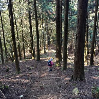 江川岳からの下りは激下り…♬