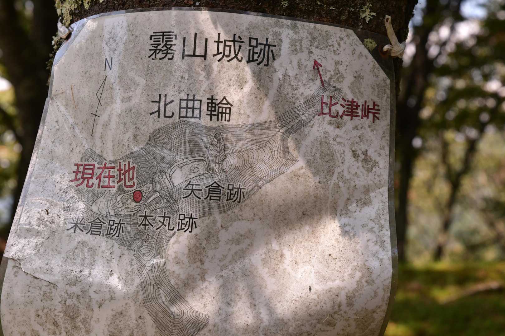 霧山-霧山城跡 往復コースの写真