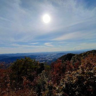 曇ってきた?🫣