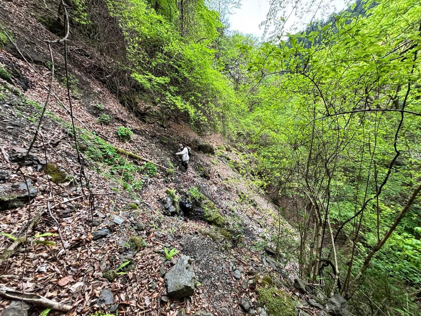 登山道にはちゃんとロープやら鎖があるょ