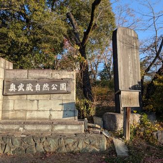 ここから登山開始