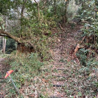 ここから六道輪廻ヶ岳に