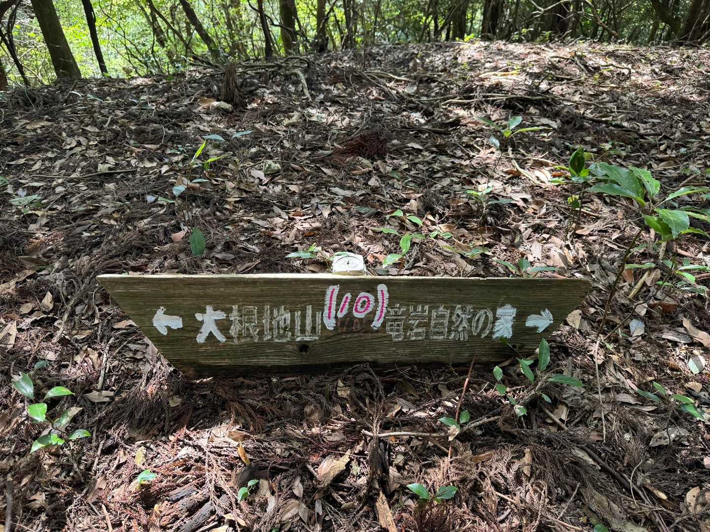 赤文字で目立たそうとしてるのか
