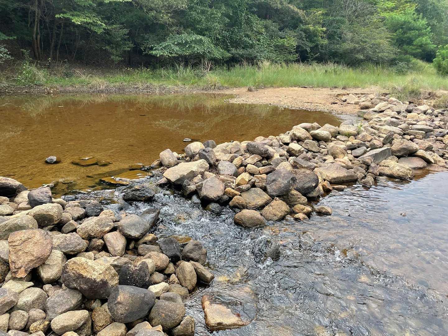 ここ渡る方がマシ？