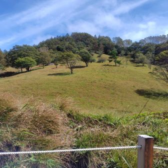 丸川峠、ワーっと広がる感じが好き！